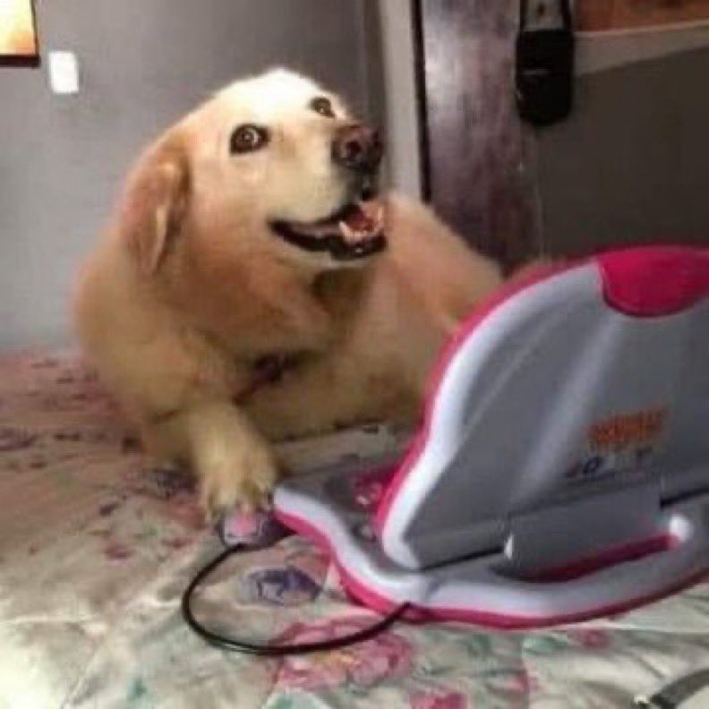 ATLASBRAWLS's tweet image. lilico.⠀

meu layout é tão babadeiro que até usam ele sem minha autorização