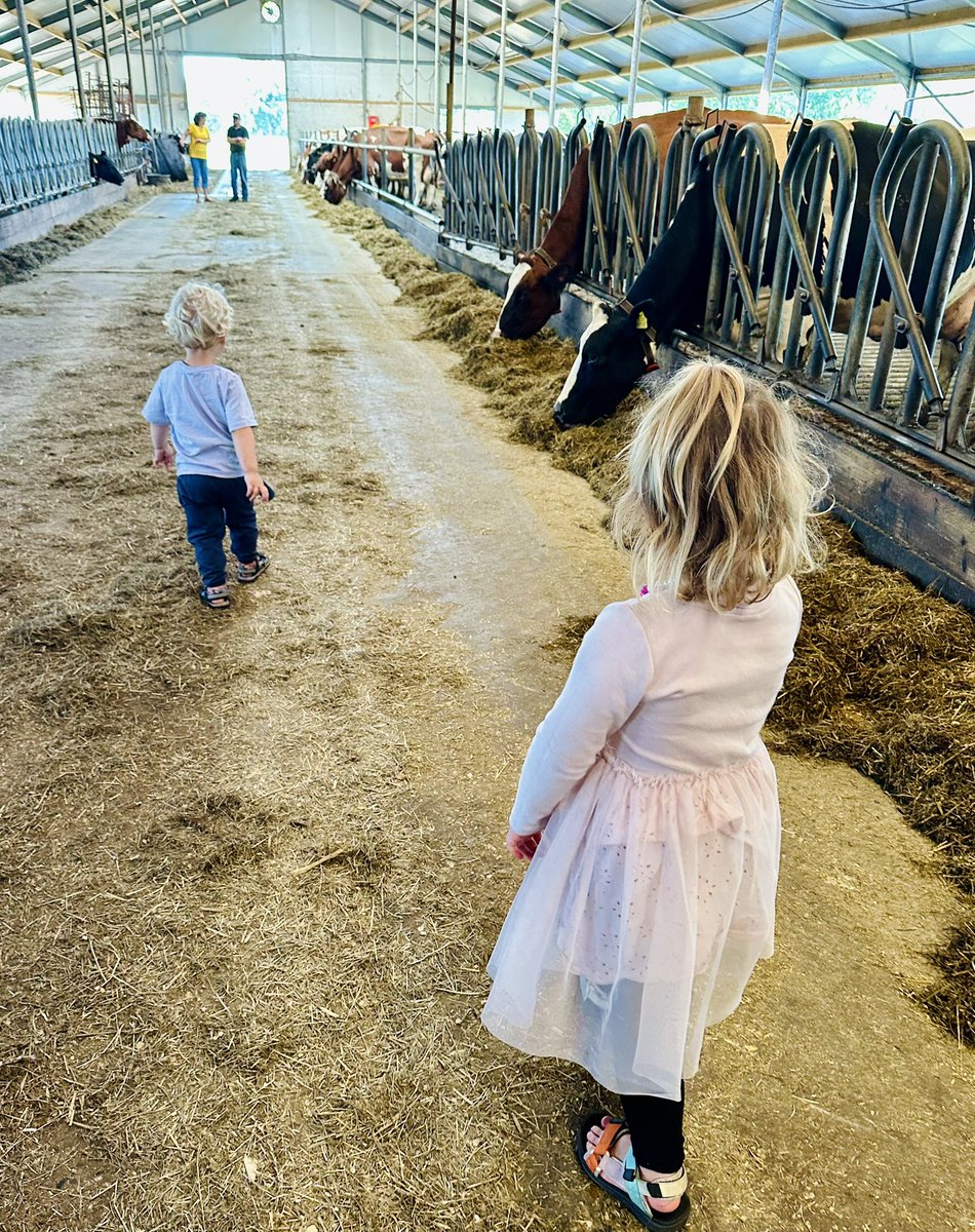 Wij hebben vandaag koetjes en trekkers bekeken. 🐄🚜

Hoe zag jouw zaterdag eruit? #IngeborgVraagt