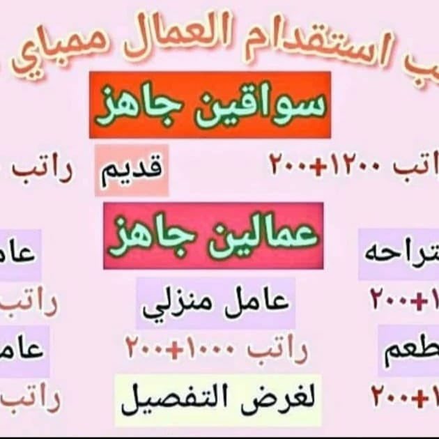 📌 مكتب استقدام من الهند 🇮🇳
✅ عمالة مدربة ومحترفة
🚗 سائقين | 🏡 عمال منزليين | 🌾 مزارعين

⏳ سرعة + ثقة + أسعار مناسبة
📱 للتواصل واتساب: wa.me/917355973327

#السعودية #الرياض #مكة_المكرمة #المدينة #الدمام #جدة #القصيم #ابها #عسير #حائل #الطايف