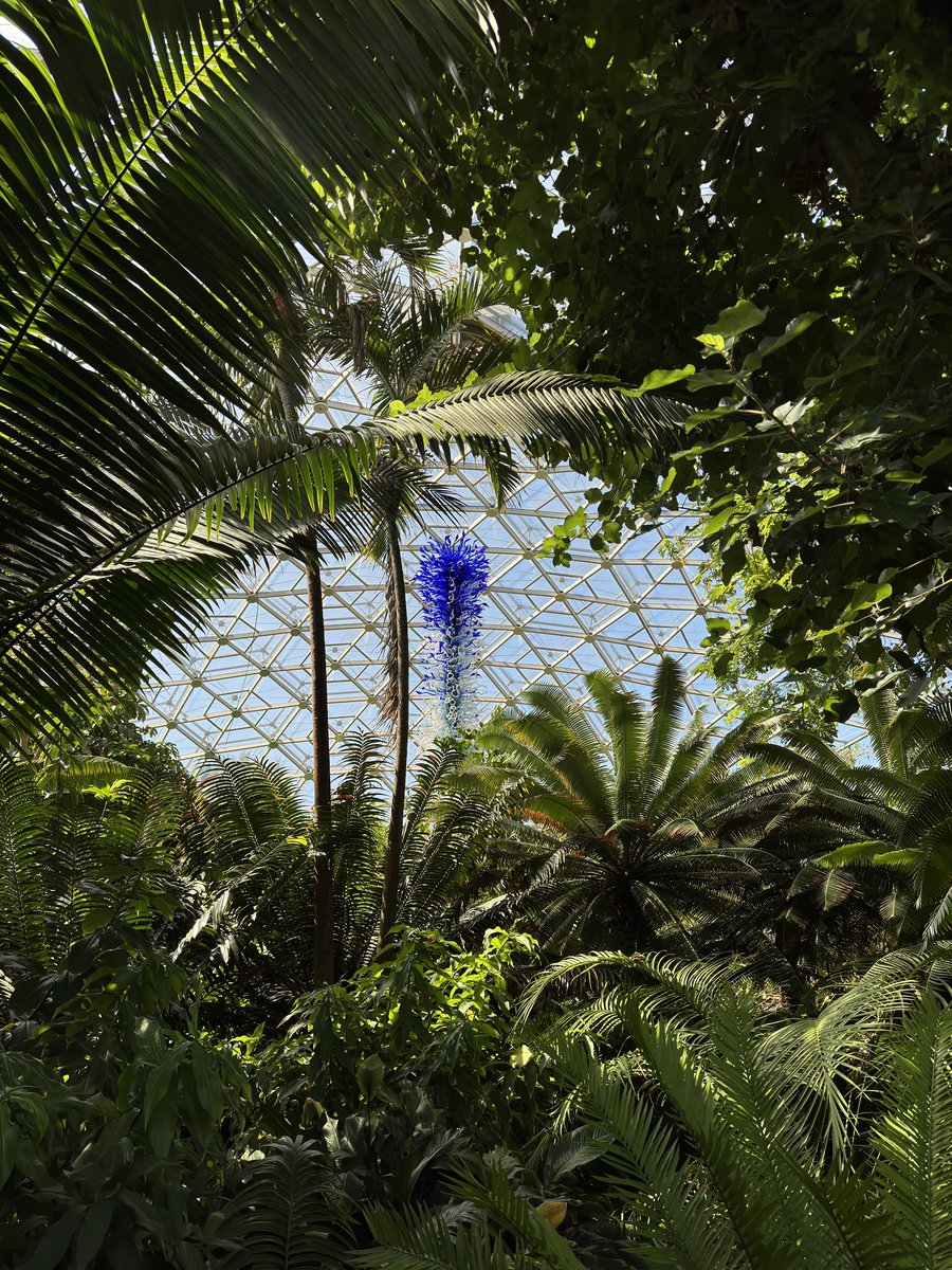 20th Century STL tweet media