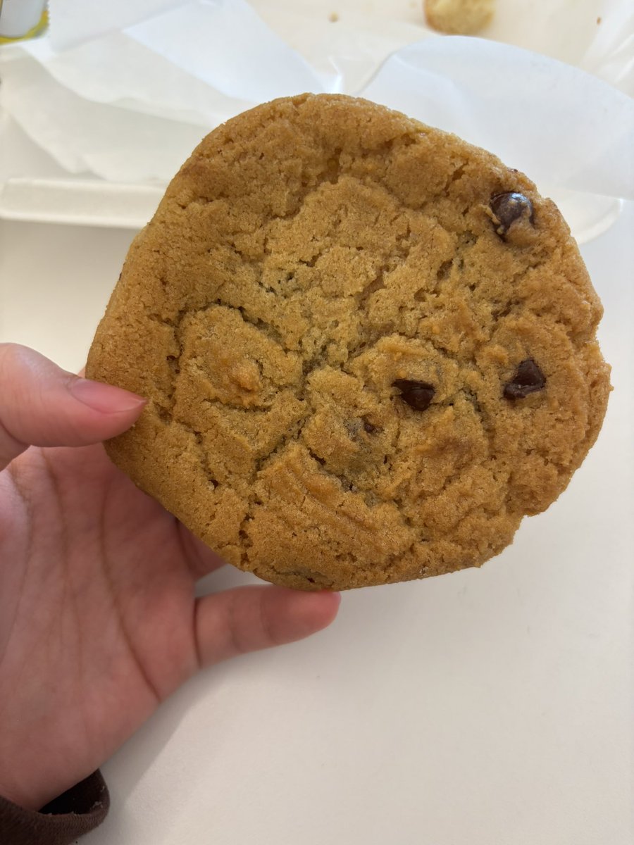 wolfphart's tweet image. about to give a mouse a cookie, i’ll update yall what happens next