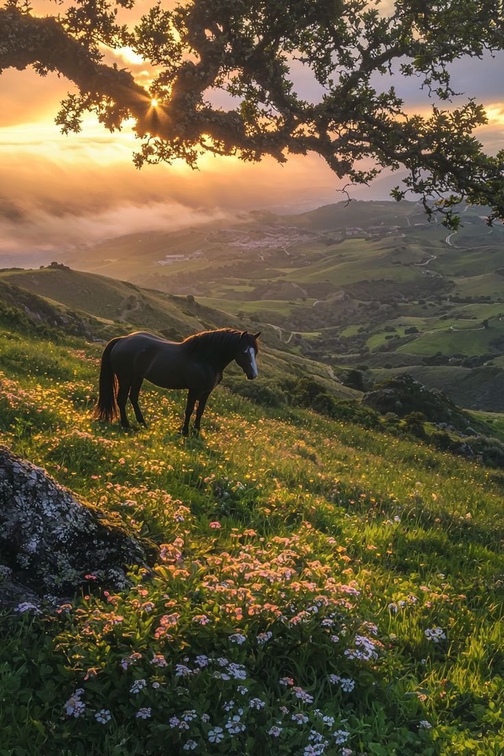 greendreamvibes's tweet image. 