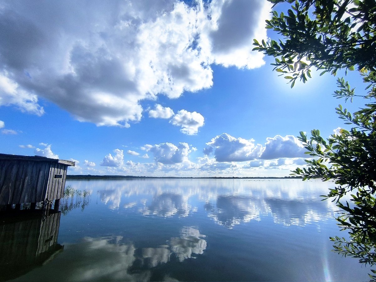 Zeig mir das letzte Bild, das du mit deinem Handy gemacht hast