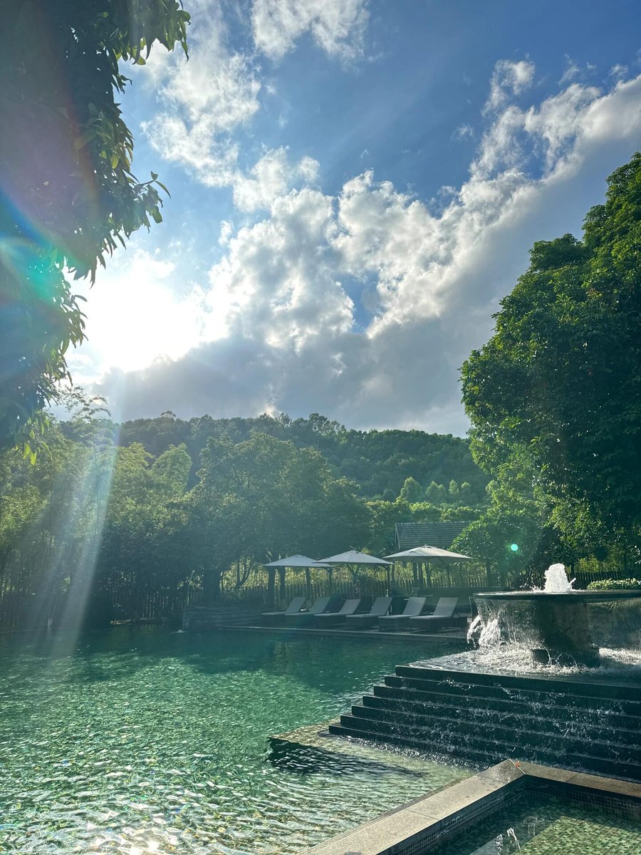 Under the shelter of shrouding trees, worries fade away. The weekend feels softer here.🥰