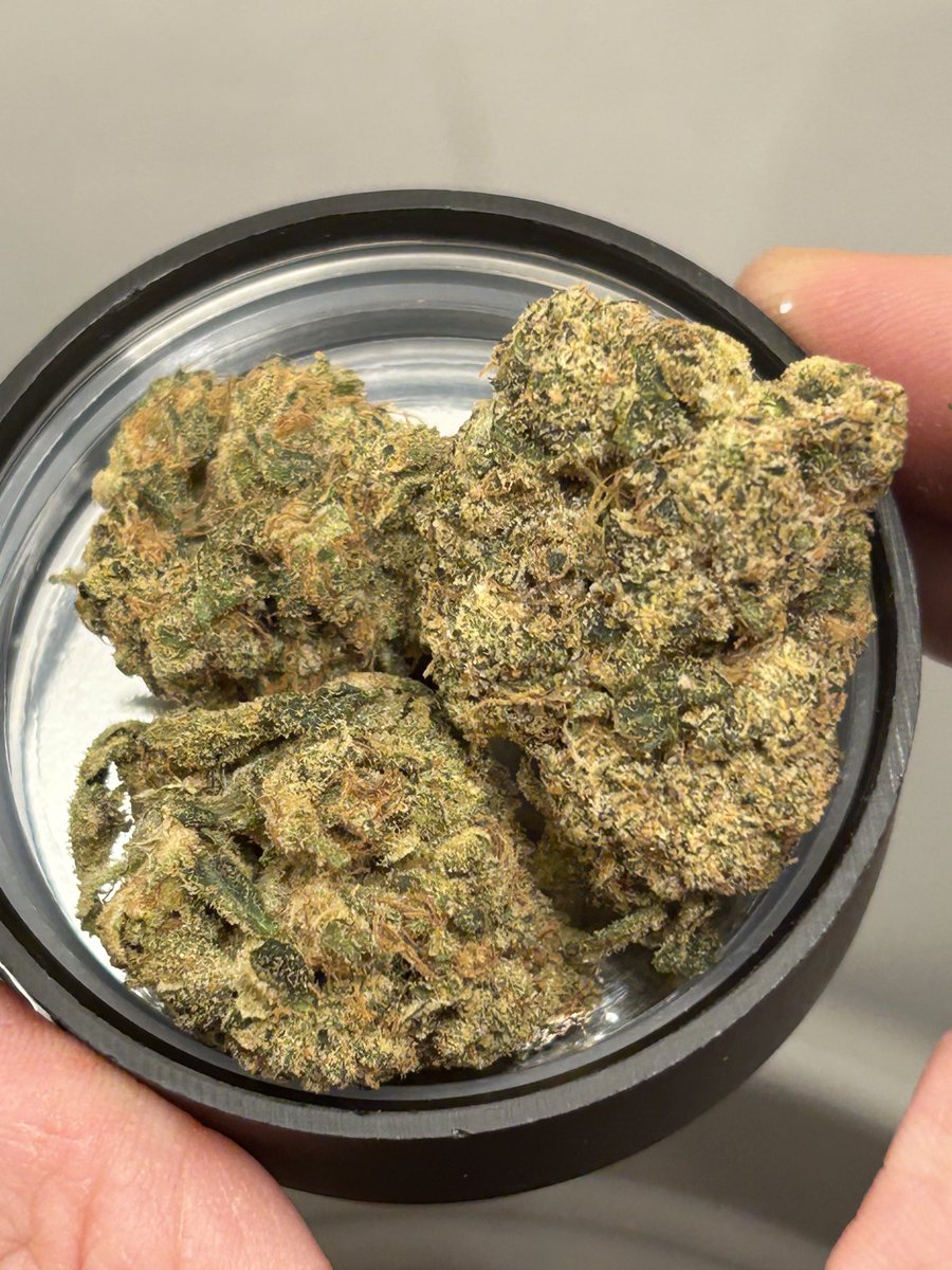 GM. Picked up some space mintz 😶‍🌫️🔥😵‍💫 stay lifted everyone
