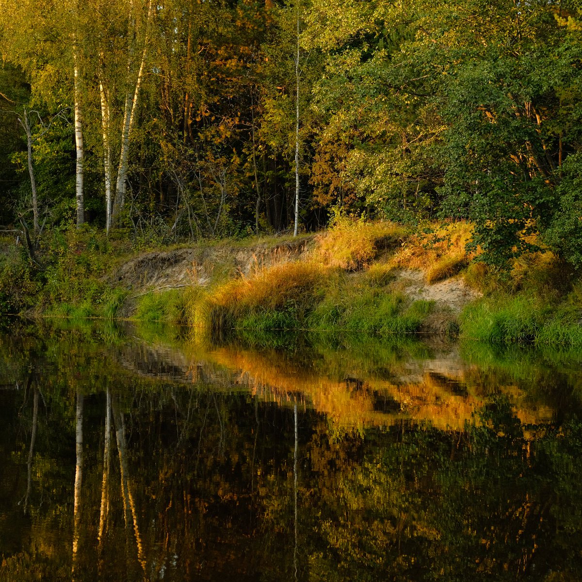 осенняя Узола