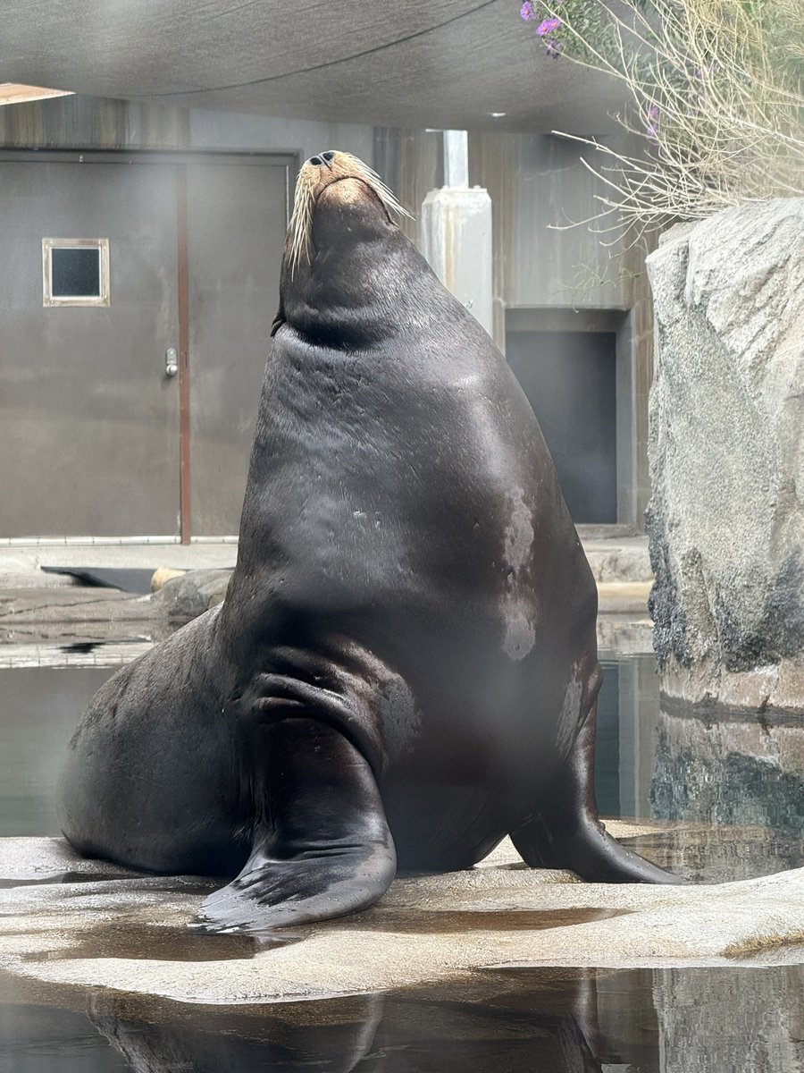 Scott Johnson tweet media