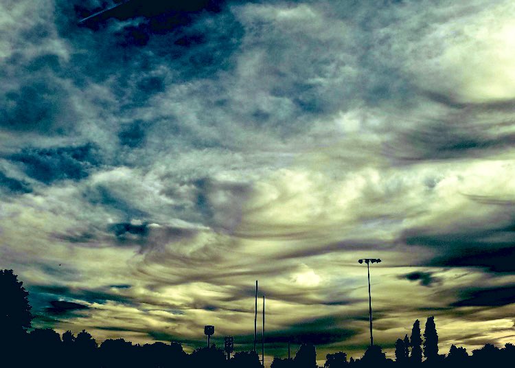 Mylilangelsrose's tweet image. WTH ? Bunch of snake heads,  there’s letters Wow.