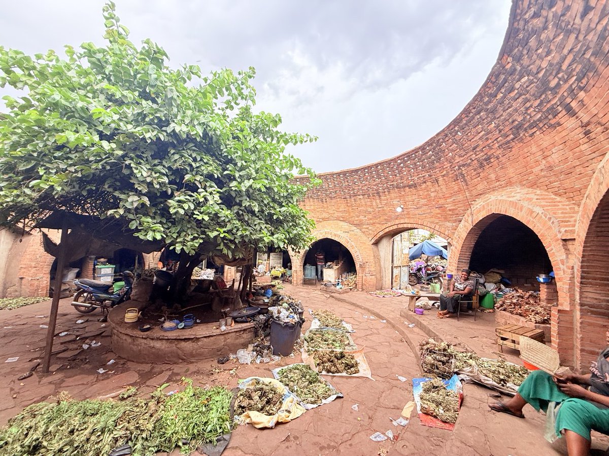 When I read the summary of Fernando Varanda's 1998 technical review for <a href="/AKF_Global/">Aga Khan Foundation</a> , I was delighted by the ingenuity of Fabrizio Carola's architecture. 

The building is not only functional, comfortable and economical.