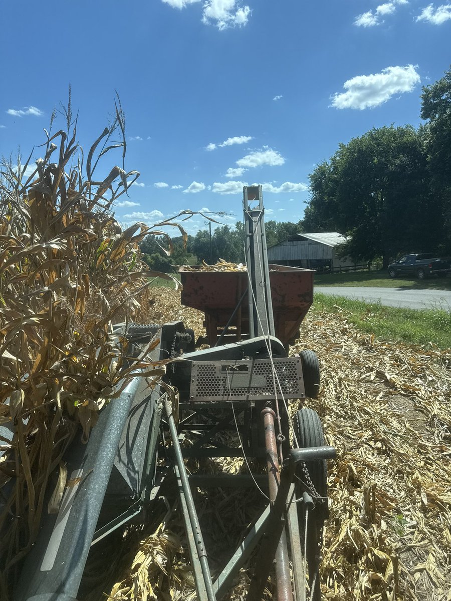 Billy Beckham tweet media