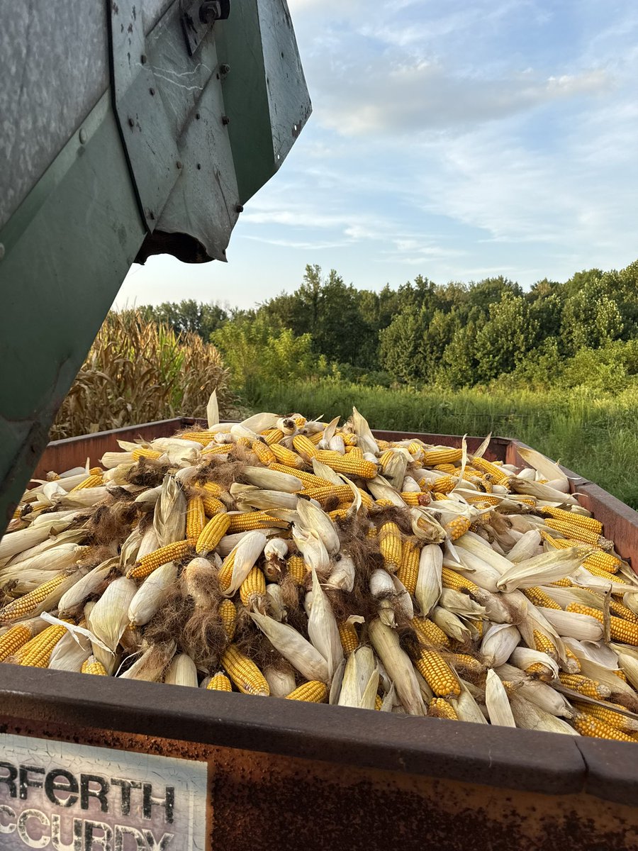 Billy Beckham tweet media