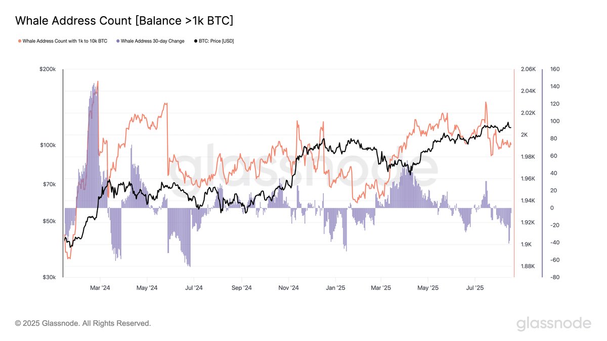 Floem (@floemweb3) on Twitter photo Bitcoin’s wedge is breaking down — and whale activity lines up with it.
Wallets holding 1k–10k BTC have been unloading since mid-July, with the 30-day change hitting its lowest level this year.
That’s supply leaving big holders right as momentum softens.
Key support sits at Bitcoin’s wedge is breaking down — and whale activity lines up with it.
Wallets holding 1k–10k BTC have been unloading since mid-July, with the 30-day change hitting its lowest level this year.
That’s supply leaving big holders right as momentum softens.
Key support sits at