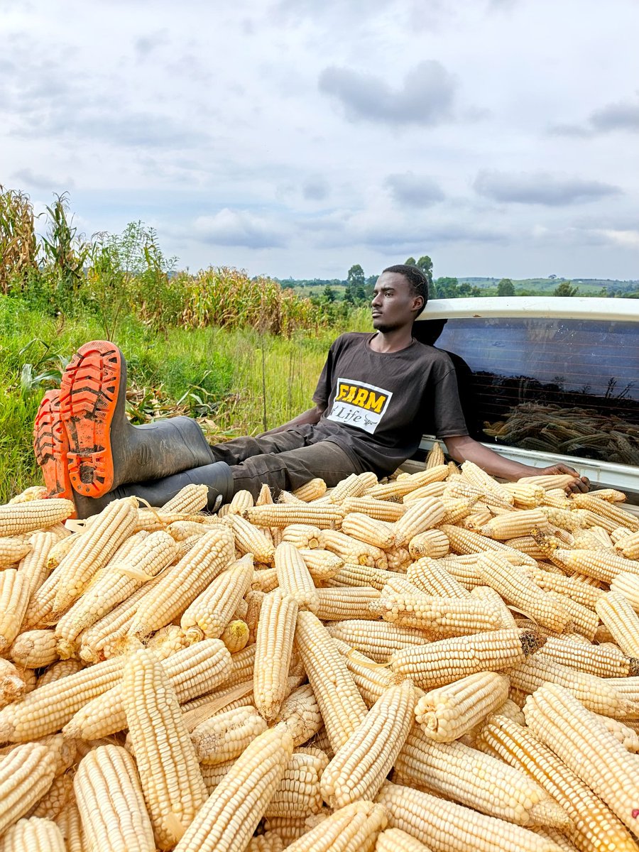 Duke Mike tweet media