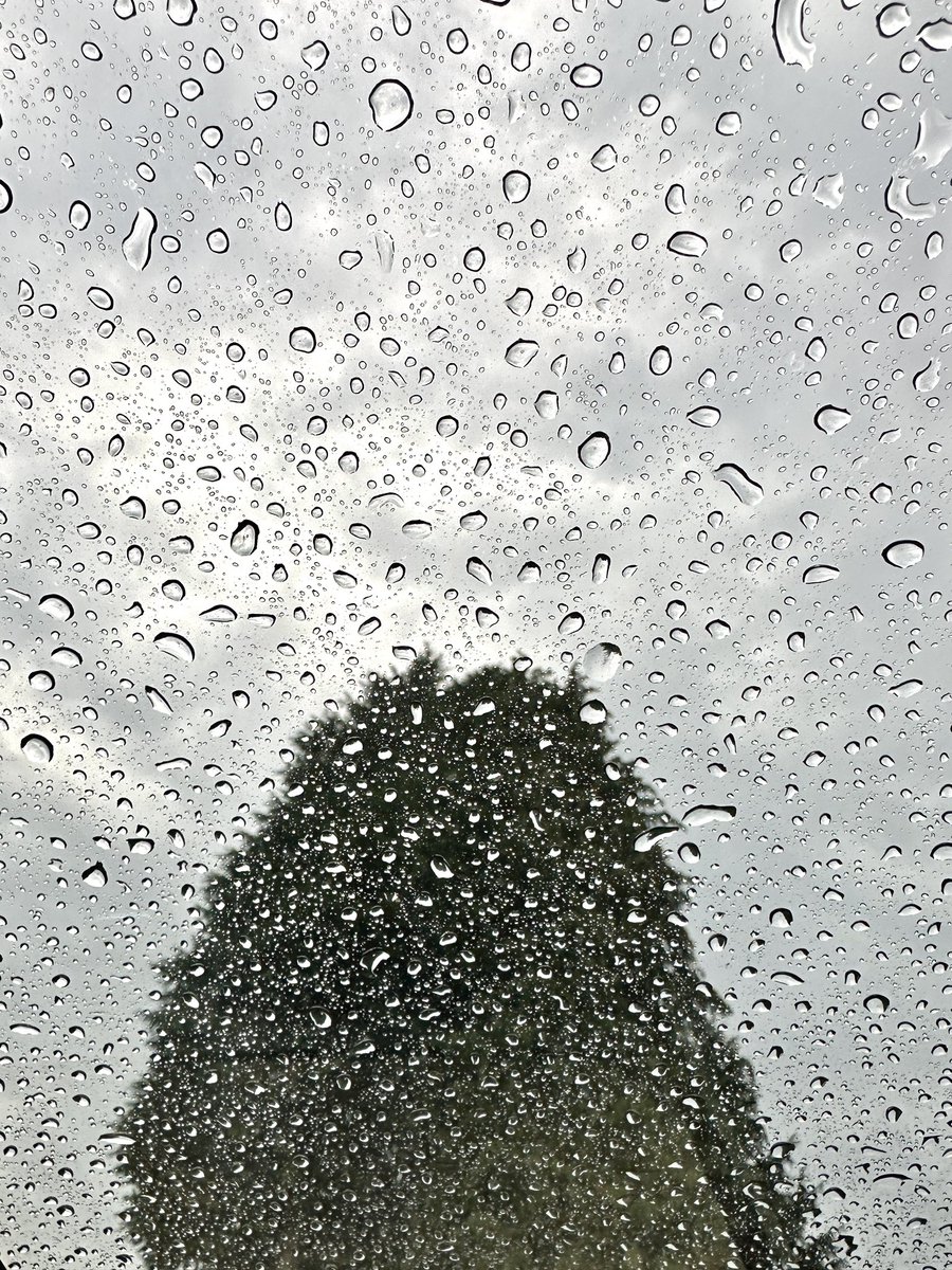 Never been so happy to see it rain! ❤️