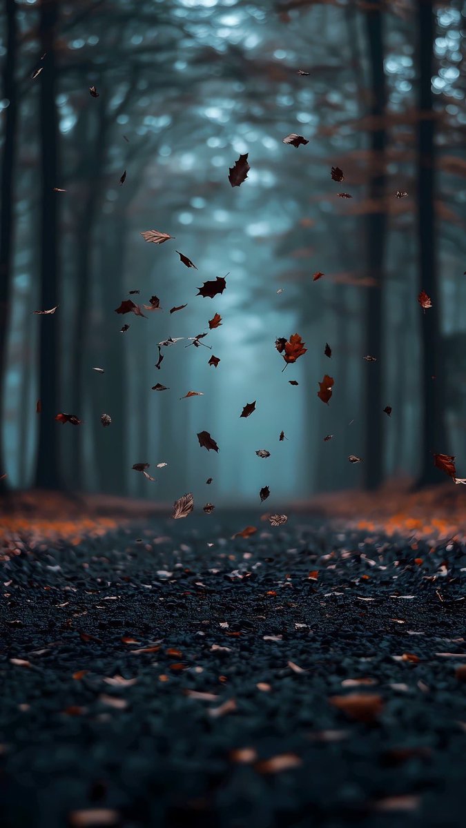 S_Galimberti (@s_galimberti) on Twitter photo 