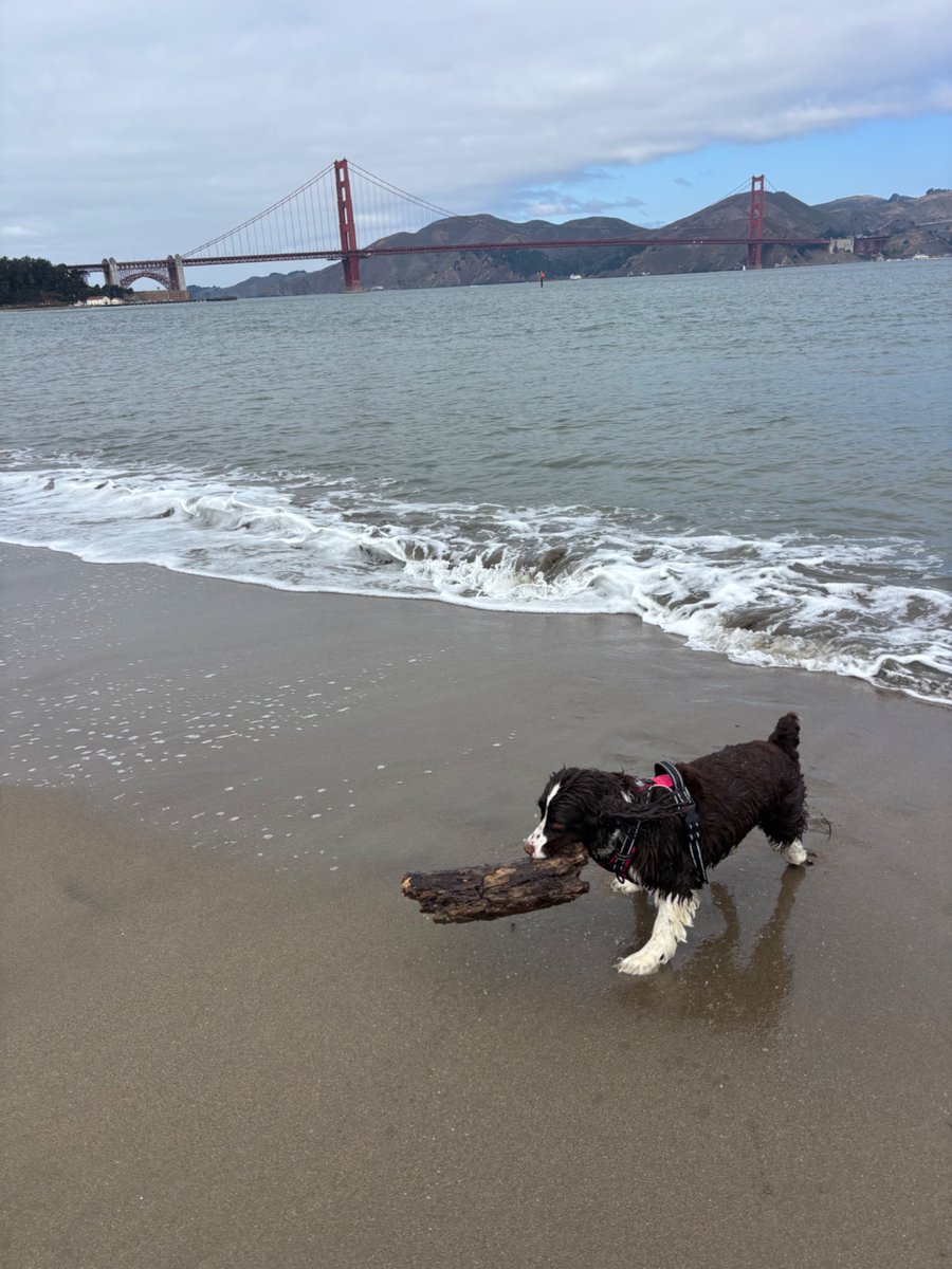 a great saturday morning in san francisco