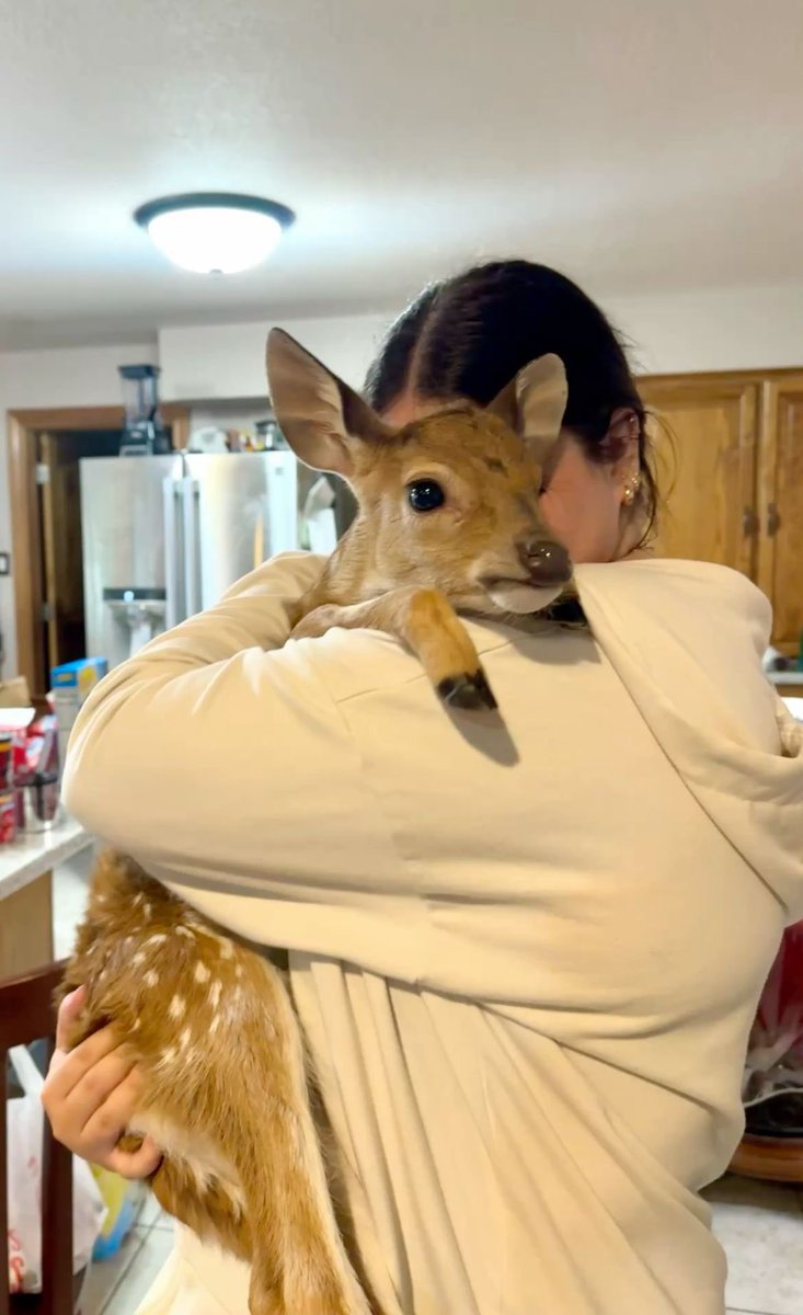 i  need  to  be  held  like  this
