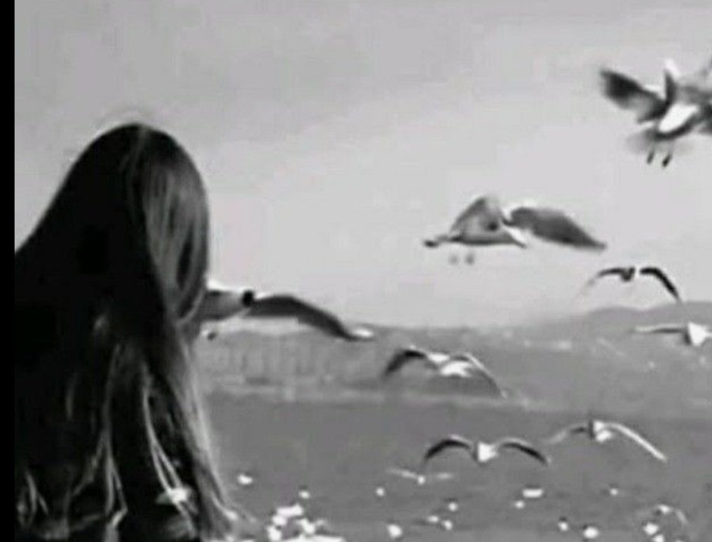 عندما يعشق القلب بصدق ..
تأكد أن مهما طالت المسافات بينكما
ومهما طال الغياب ..
محال أن تستطيع التوقف عن عشقه مطلقا
وسيبقى بداخلك جزء خاص له
لن تستطيع التخلص منه مهما حاولت..
#همسات_ذهبية
#لعينيك_أكتب