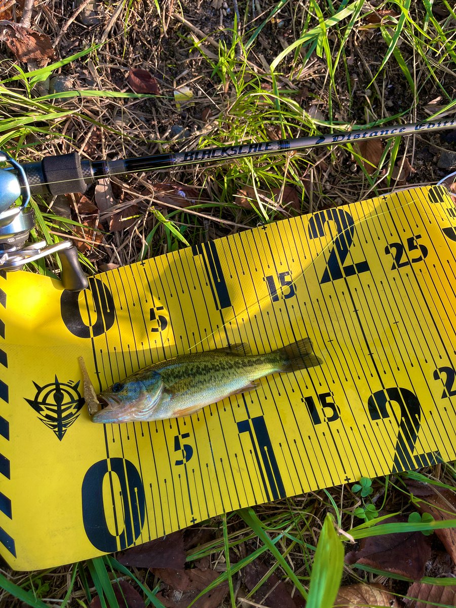 エムワイズ (@myslures) / X