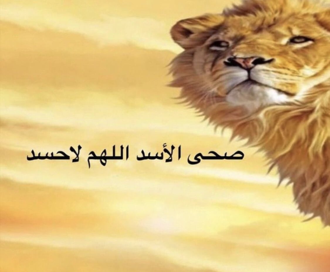 leclerudy's tweet photo. ولكم باك https://t.co/oDi8JwFgfy