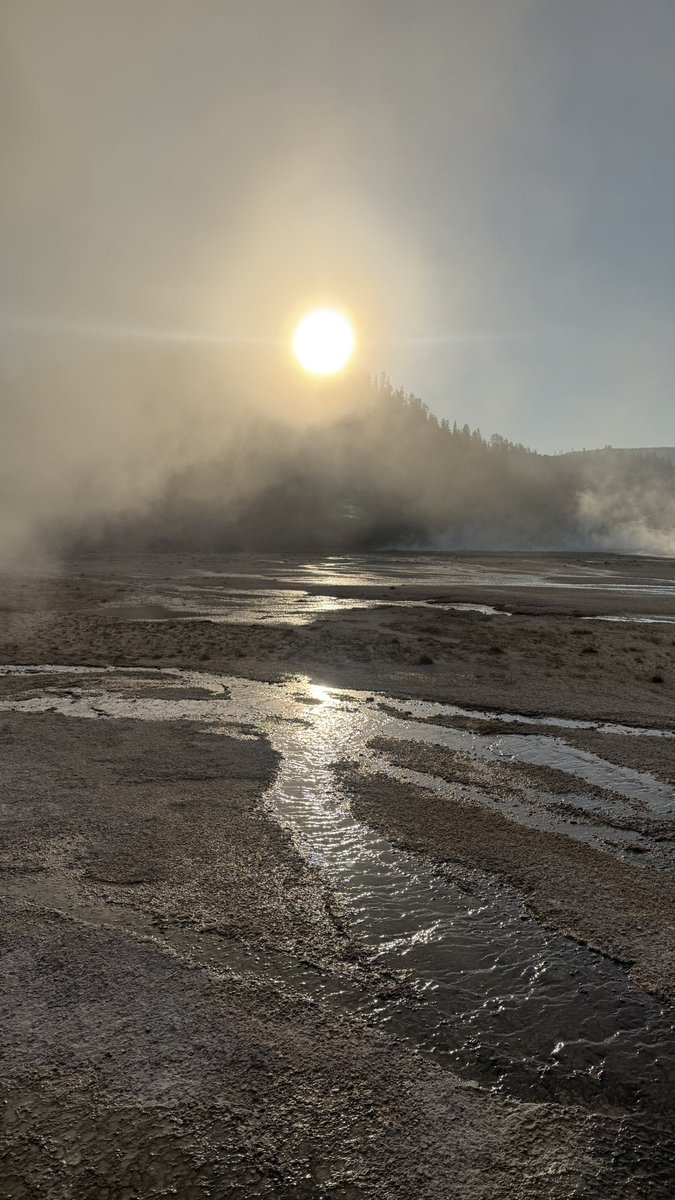 wapple15's tweet image. #ShadowsReflects #Yellowstone National Park. #Wyoming