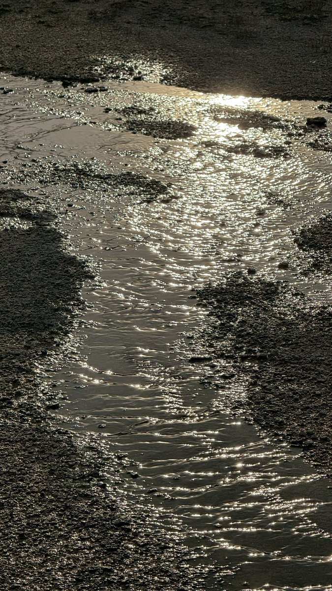 wapple15's tweet image. #ShadowsReflects #Yellowstone National Park. #Wyoming