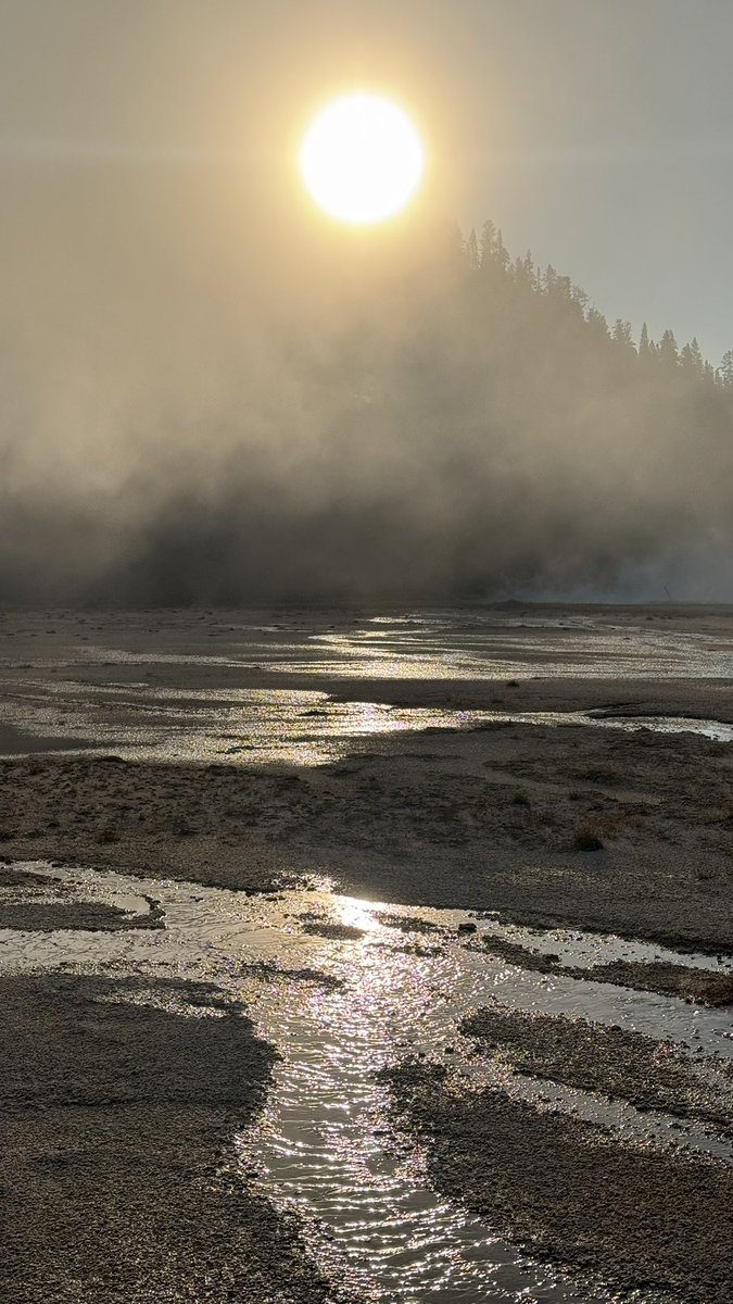 wapple15's tweet image. #ShadowsReflects #Yellowstone National Park. #Wyoming
