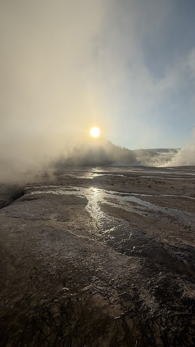 wapple15's tweet image. #ShadowsReflects #Yellowstone National Park. #Wyoming