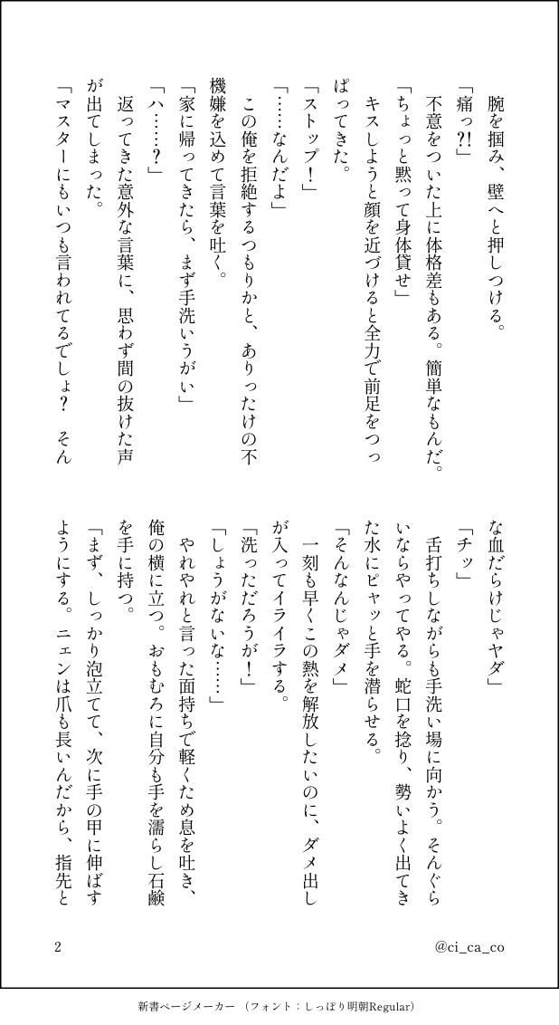 cicaco/シカコ tweet media