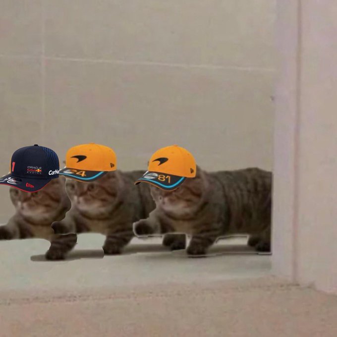 mclwdc's tweet image. Always them