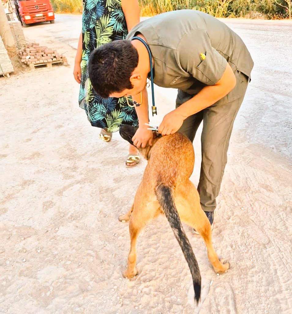 Fethiye'de yeni açılan bir klinik olan MIAF VETERİNER KLINIGI bir ilke imza attı..
Bir veteriner hekim 3 mesai saati boyunca kliniğini terk ederek tüm mesaisini, emeğini, malzemelerini, ilaçlarıni sokak hayvanlarına vakfetti!

Haberci olsam başlığı böyle atardim :) Çünkü görülmüş