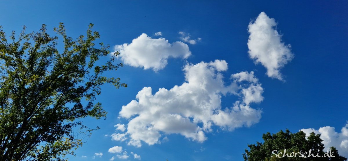 ☀️ Wochenende! Blauer Himmel, fluffige Wolken und angenehme 23° 🌤️
Einfach mal durchatmen, Sonne tanken und den Samstag genießen 🍃💙