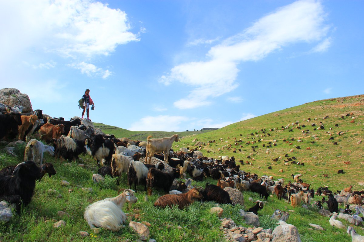 Yaşamdan kareler...
