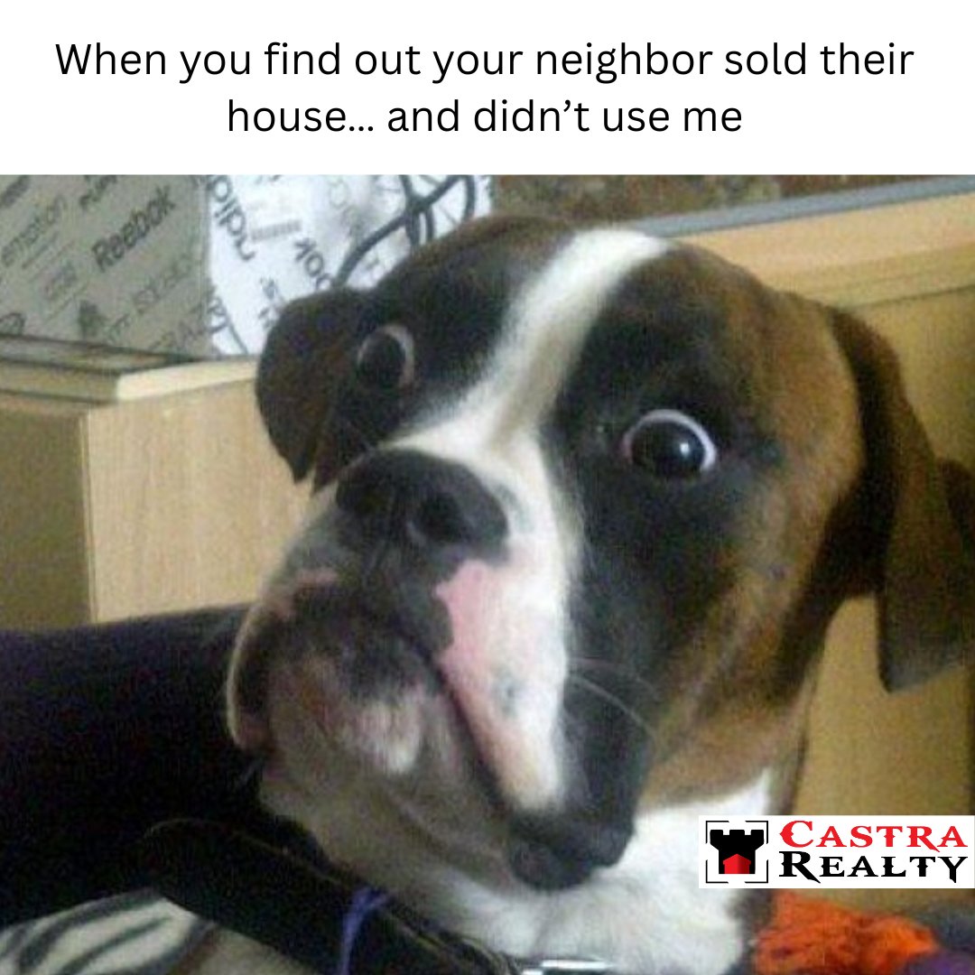 CastraRealty's tweet image. The look your dog gives when they hear the neighbors sold… without the Castra Realty advantage. Don’t make the same mistake — let’s talk! 🏡

#RealEstateHumor #HomeSelling #ShockedDog #ListWithMe #LocalExpert #FunnyRealEstate #RealEstateLife #SellingHomes\ #CastraRealty