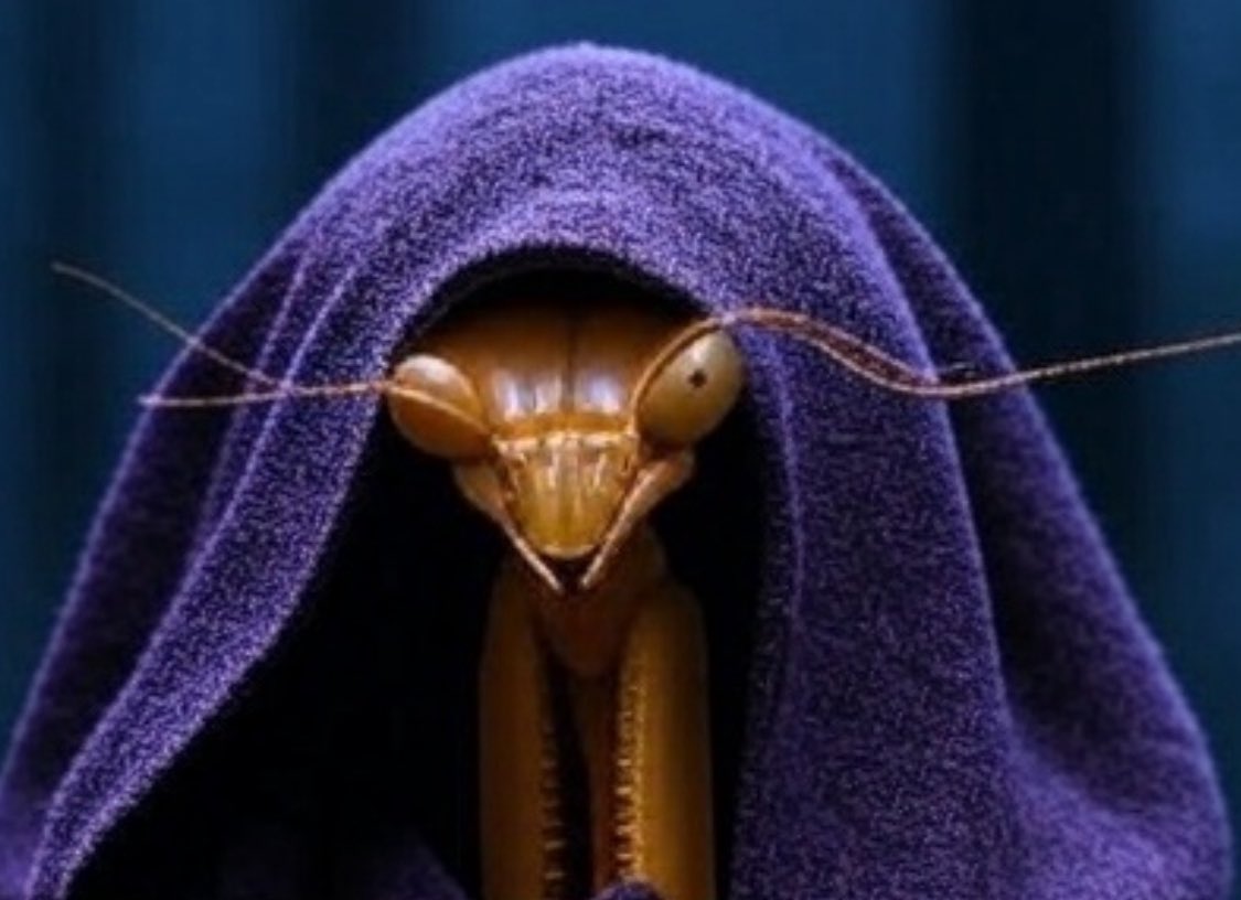 Decoding380's tweet image. Have you seen this guy?