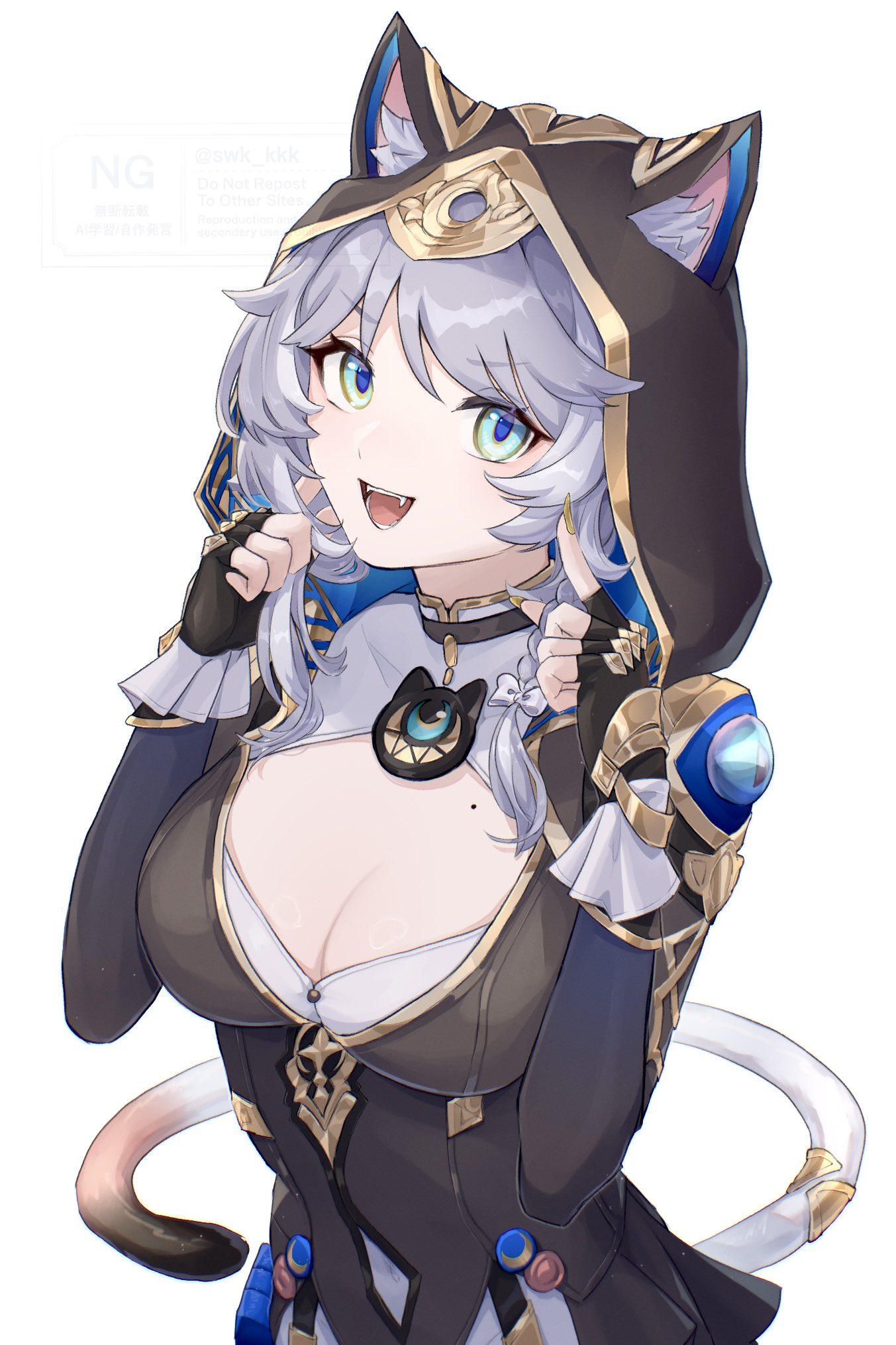 投稿の画像