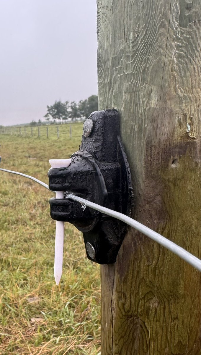 Nerbas Bros. Angus tweet media