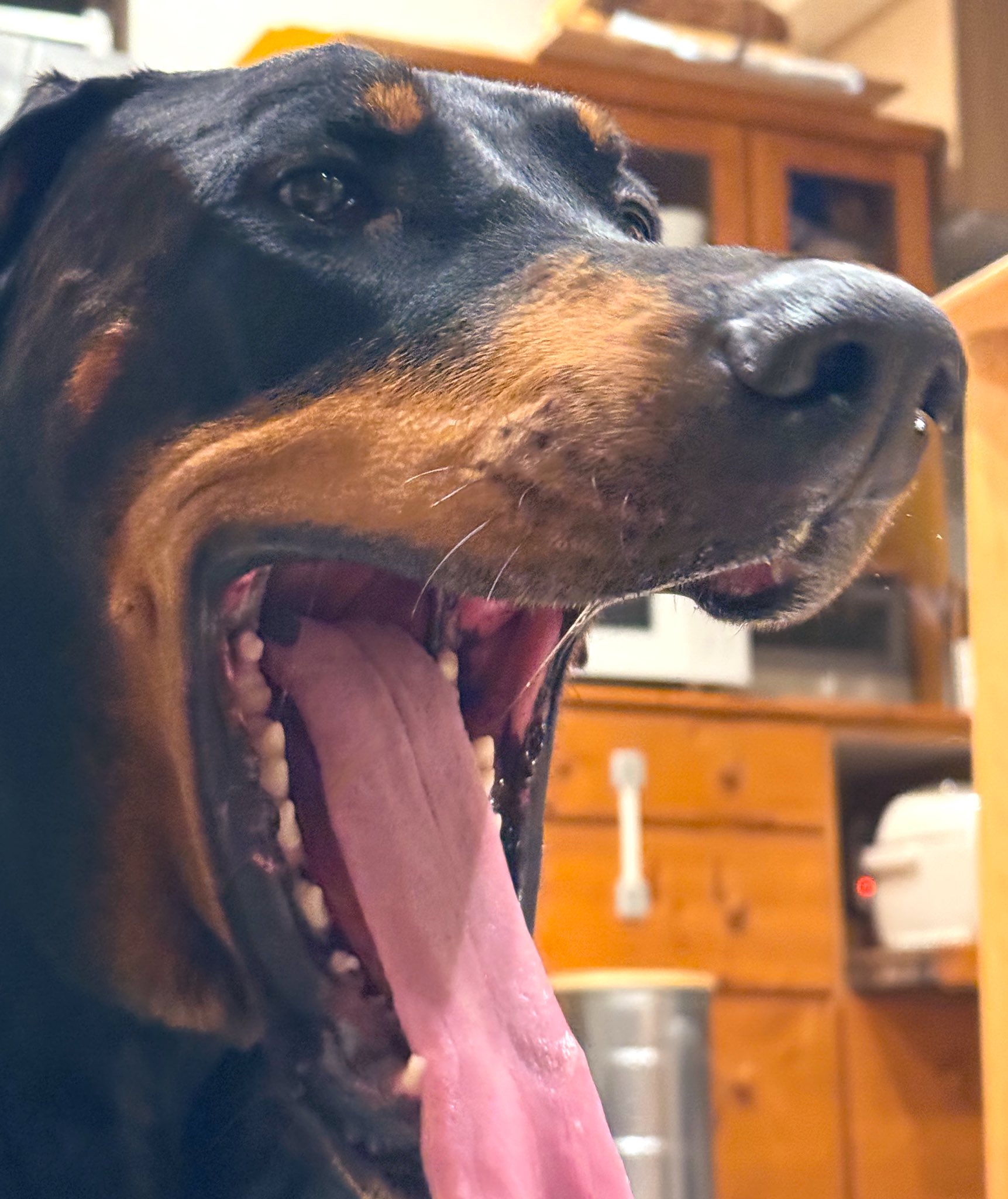 THE THIRD EYE WORKS (@83torch) / X