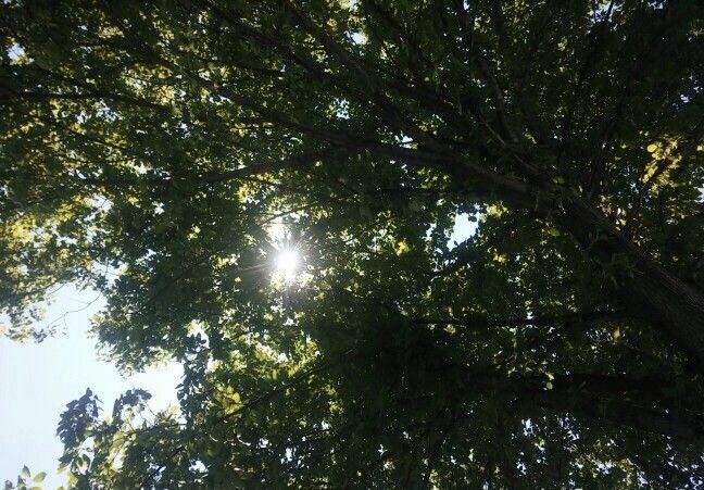 aesthetics (@aesthetics_40) on Twitter photo 