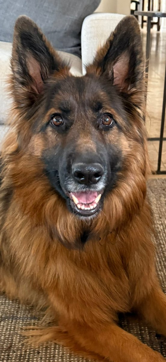 Happy #SmileySaturday furiends!