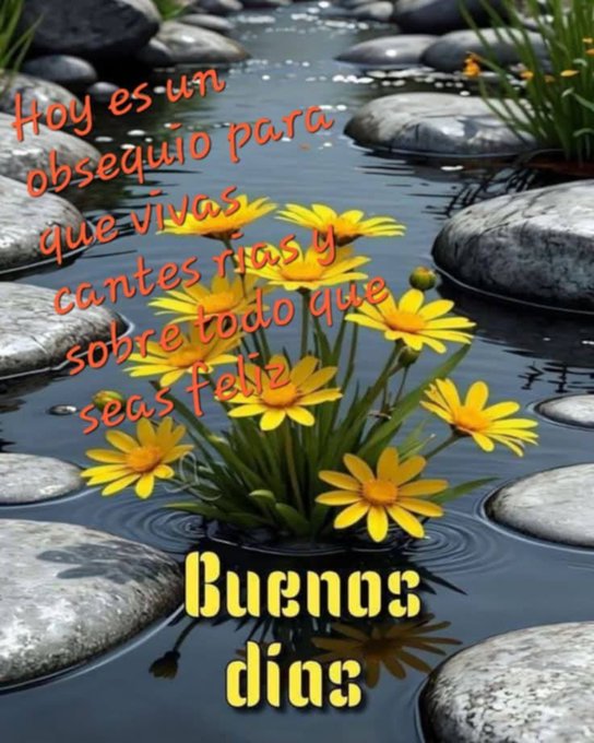 Yellow flowers growing near a stream with smooth rocks. Water flows gently around the rocks and flowers. Text overlays read "Hoy es un para obsequio que vivas y cantes ríos y sobre todo que seas feliz Buenas días".