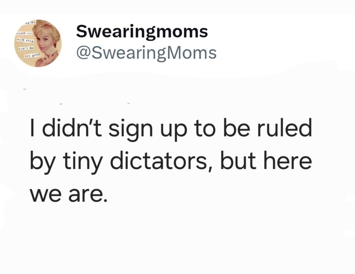 Shoutout to the other moms living under toddler dictatorship. 👑💀 

What’s the most ridiculous demand your tiny ruler made today?

#MomLife #ParentingChaos #MomHumor #SwearingMomsStories