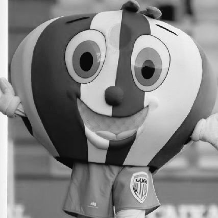 D.E.P Nabic (2019-2025)

Vuela alto amigo 🙏🏽🖤