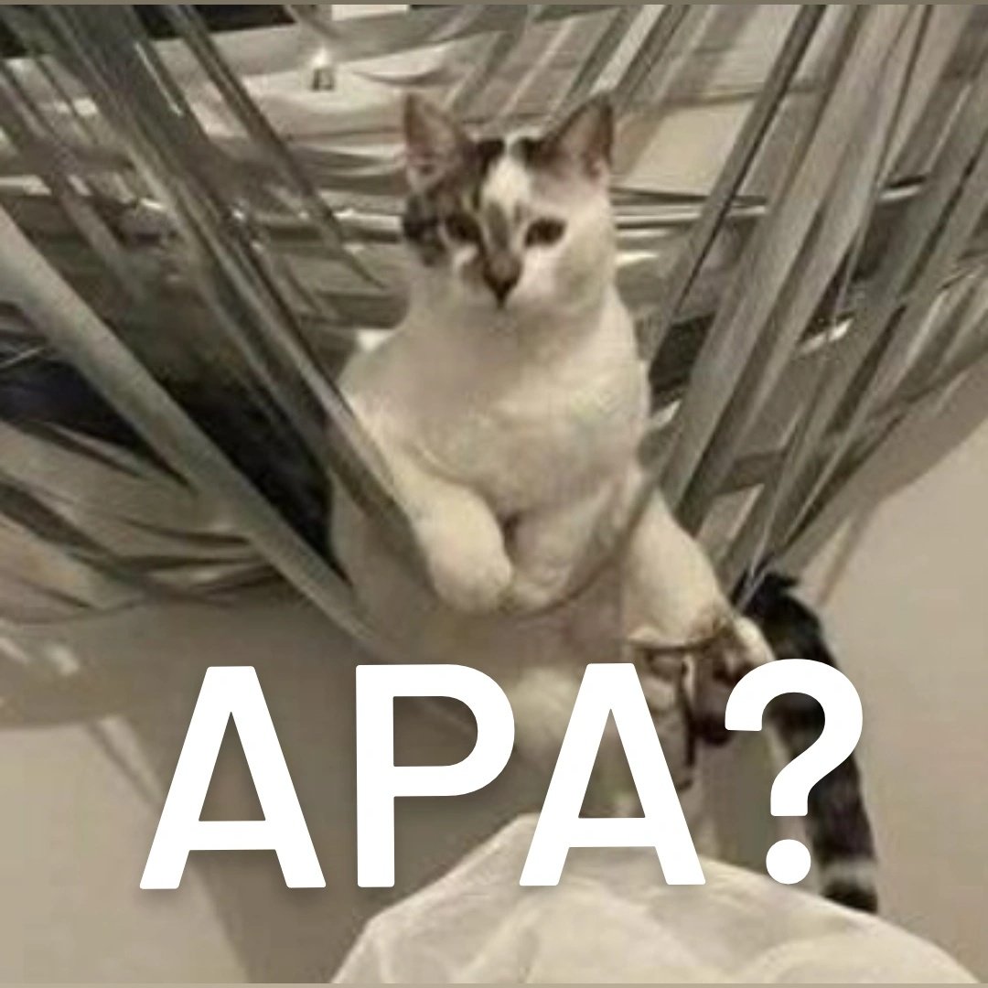 <a href="/tanyarlfes/">Tanyarlfes</a>