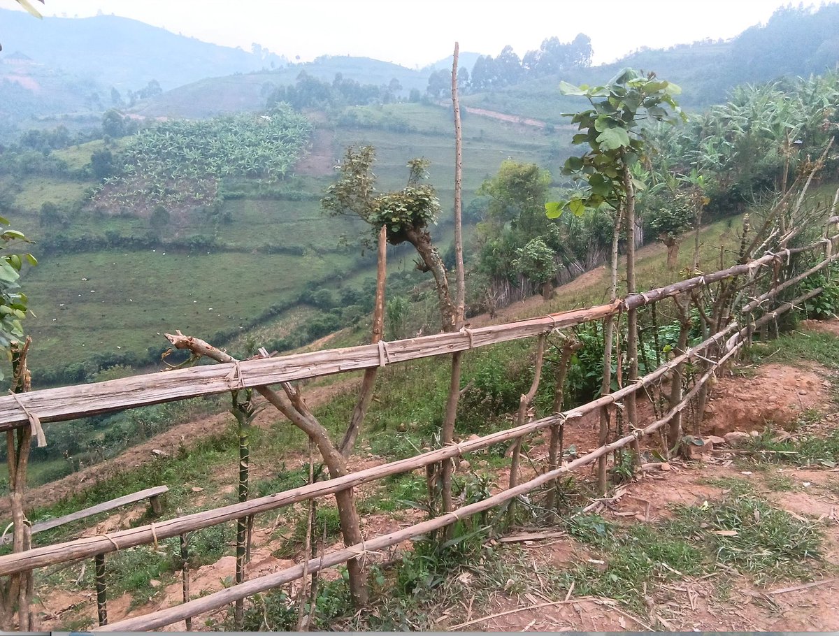 TATT256's tweet photo. Learners at Nyarutembe expressed joy and gratitude for this new collaboration. “After the Cultural Canvas, we learnt a lot,” said Maria Tereza. “We are very happy and grateful and now excited for the Global Village Project. We shall fully participate.” Students in Beijing... 1/2 https://t.co/astGWMn7uw