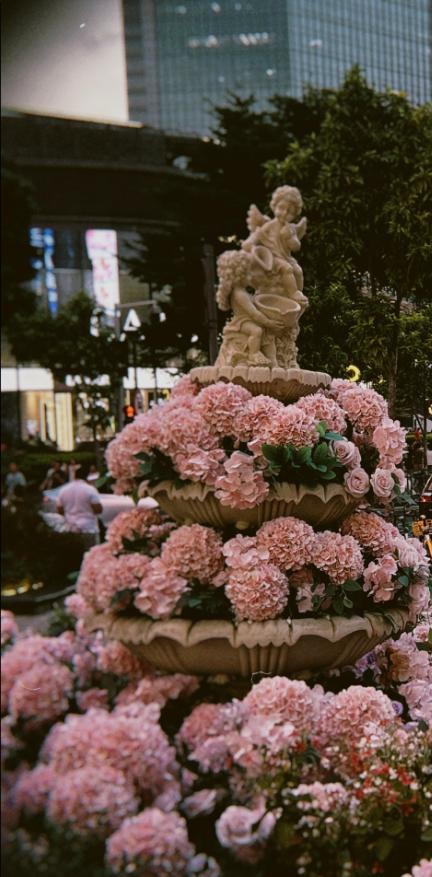 都会のざわめきの中に咲く、やさしい夢と花たち🌸✨