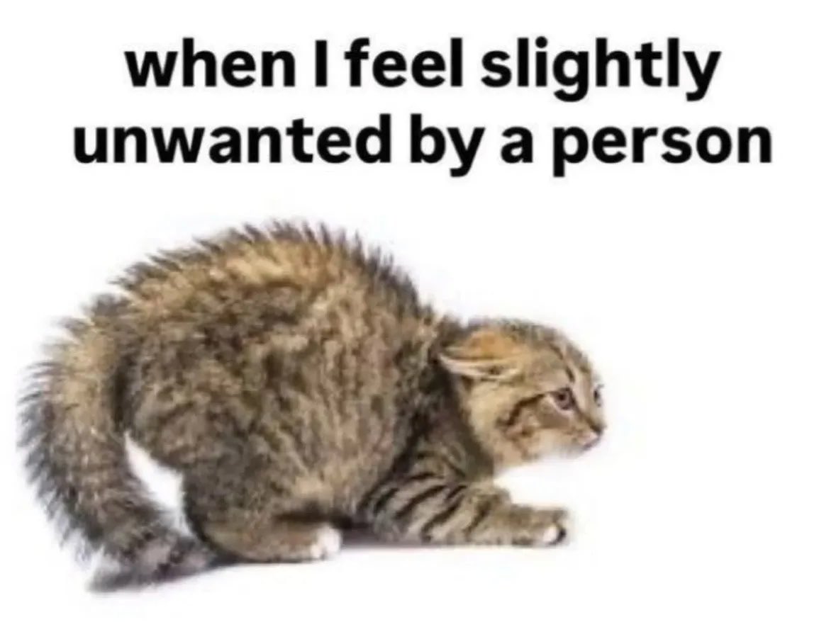 ✧ (@northstardoll) on Twitter photo 