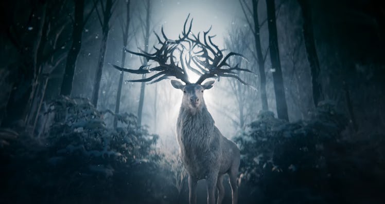 The STAGS of Norse Mythology 🦌☀️

In Norse Myth, there are 4 Stags -- Dáinn, Dvalinn, Duneyrr, and Duraþrór. It has been up to much interpretation throughout the years on what exactly they represent, but the contenders are: each season of the year, each cardinal direction, and 4