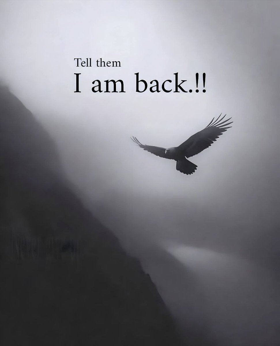 I am back
