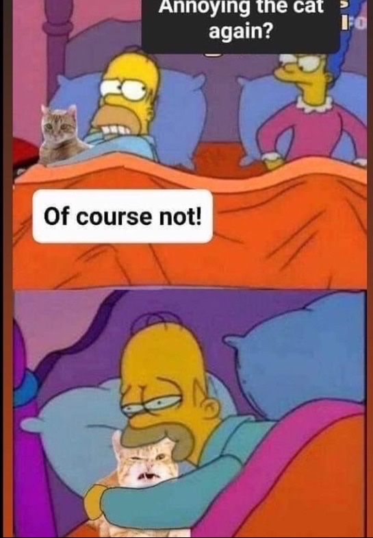 ShitpostGateway (@shitpostgate) on Twitter photo 